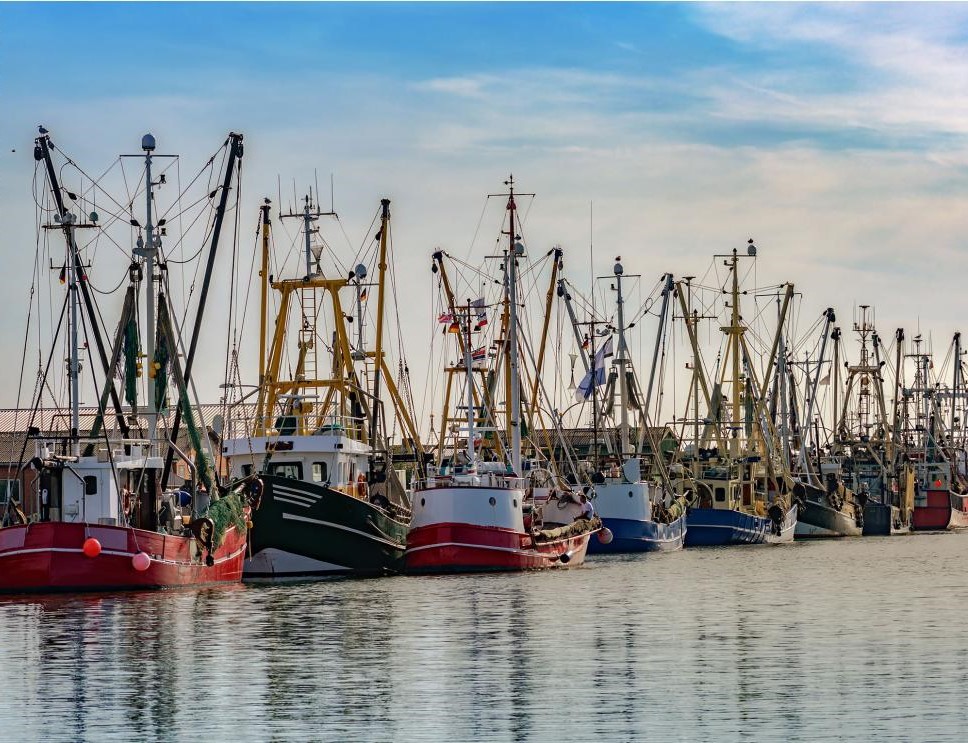 EU: Pilot Project for Energy Transition in Fisheries - Fishi
